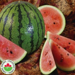 Tom Organic Watermelon Thumbnail